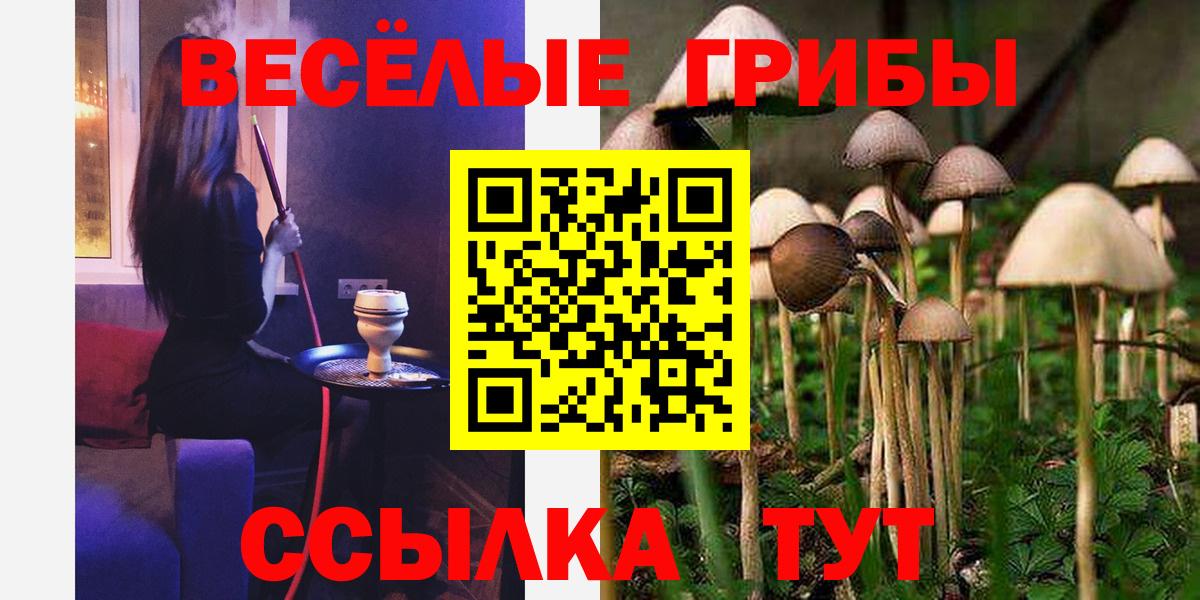 Псилоцибиновые грибы Psilocybine cubensis  Вход с VPN  Кировск  Галлюциногенные грибы мухоморы 